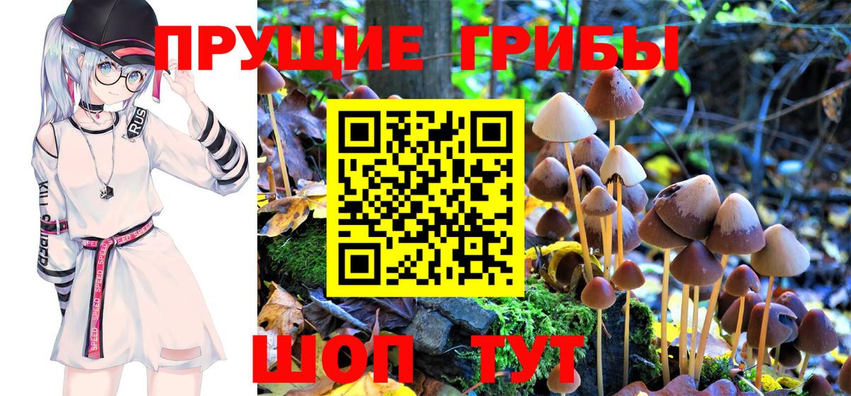 Галлюциногенные грибы GOLDEN TEACHER Чусовой